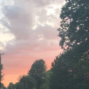 Meet your Posher, Diana